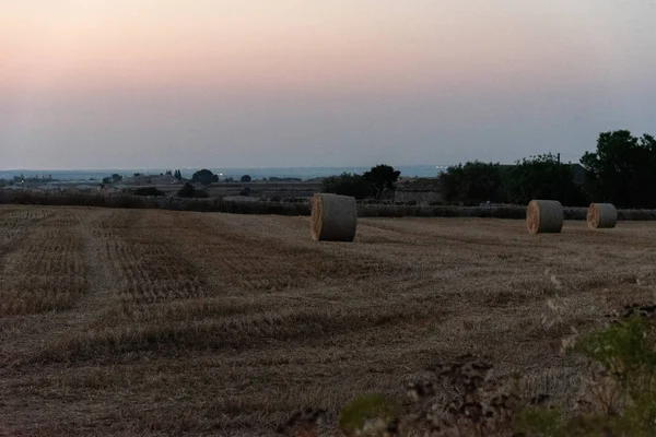 Salida del sol sobre un campo de trigo con fardos — Foto de Stock