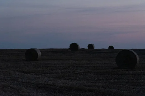 Salida del sol sobre un campo de trigo con fardos — Foto de Stock