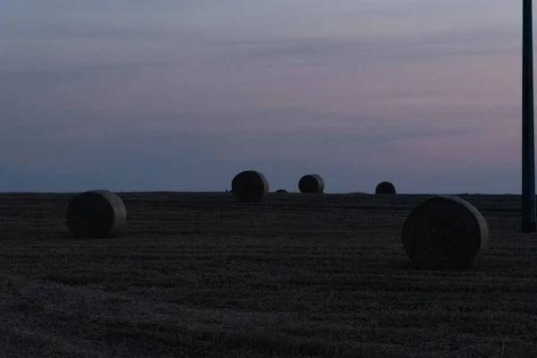 Salida del sol sobre un campo de trigo con fardos — Foto de Stock