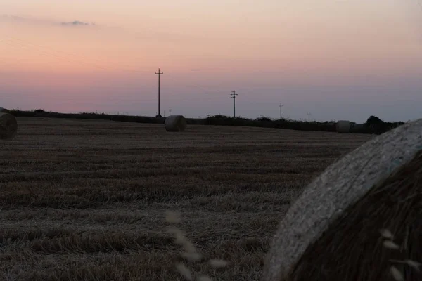 Salida del sol sobre un campo de trigo con fardos — Foto de Stock