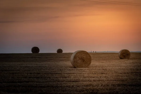 Salida del sol sobre un campo de trigo con fardos — Foto de Stock