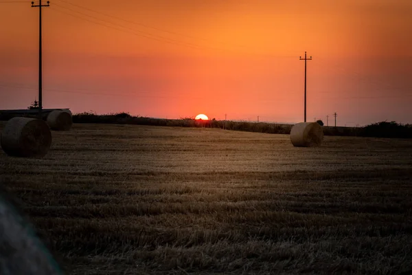 Salida del sol sobre un campo de trigo con fardos — Foto de Stock