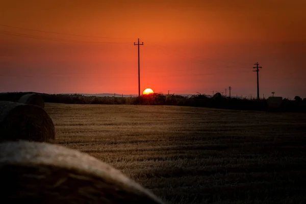 Sonnenaufgang über einem Weizenfeld mit Ballen — Stockfoto