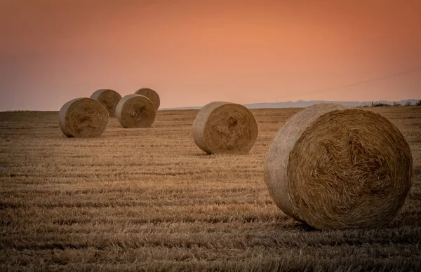 Soluppgång över ett fält av vete med balar — Stockfoto