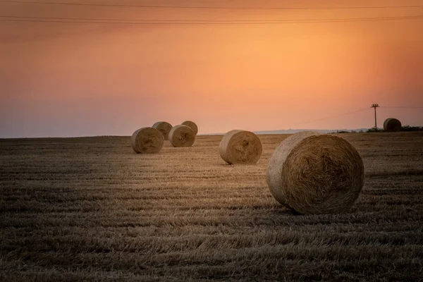 Salida del sol sobre un campo de trigo con fardos — Foto de Stock