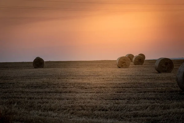 Salida del sol sobre un campo de trigo con fardos — Foto de Stock