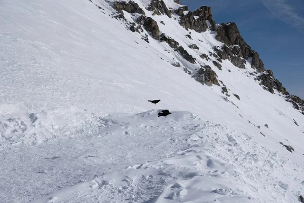Tonale Geçidi çevresindeki dağların görünümü