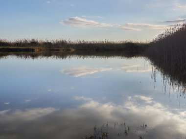 Gündüz sakin göl manzarası 