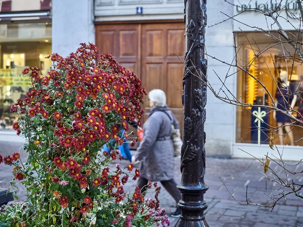 Annecy, France - 07 décembre 2018 - Vue sur les rues d'Anne — Photo