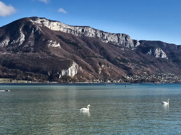 Tournage du lac d'Annecy — Photo