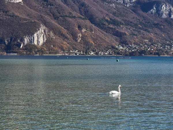 Shot z jezera Annecy — Stock fotografie