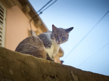 bent u op zoek naar mij?