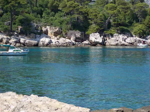 Вид Чудовий Скелястий Пляж Острові Локрум Сонячний Літній День Dubrovnik — стокове фото