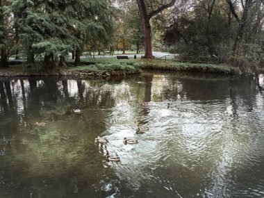 Sonbaharda Milano'da Lambro Park Shot