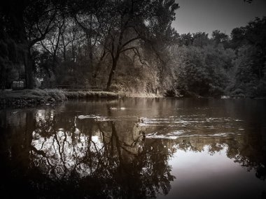 Sonbaharda Milano'da Lambro Park Shot