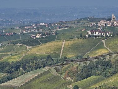Piedmont Langhe kırsal görünümü