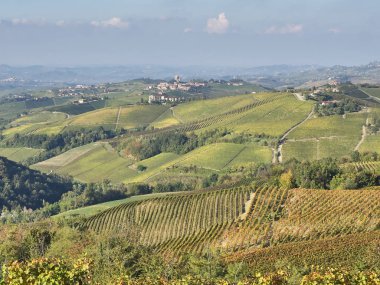 Piedmont Langhe kırsal görünümü