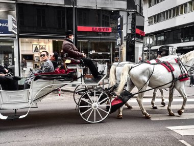 İnsanlar at arabasıyla şehri ziyaret ediyorlar.
