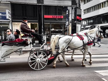 İnsanlar at arabasıyla şehri ziyaret ediyorlar.