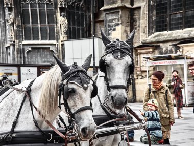 Stephansplatz'da atlarla oynayan çocuklar