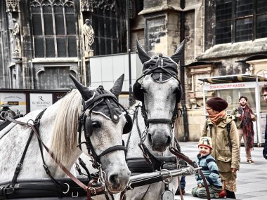 Stephansplatz'da atlarla oynayan çocuklar