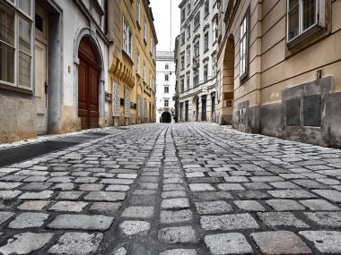 Viyana sokaklarının manzarası