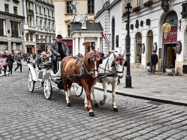 Hofburg sarayının içinden geçen at arabası.