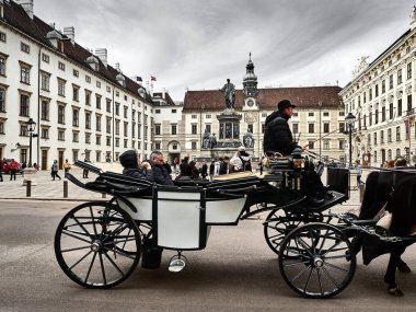Hofburg sarayının içinden geçen at arabası.