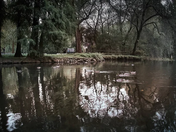 Scatto Del Lambro Park Milano Autunno — Foto Stock