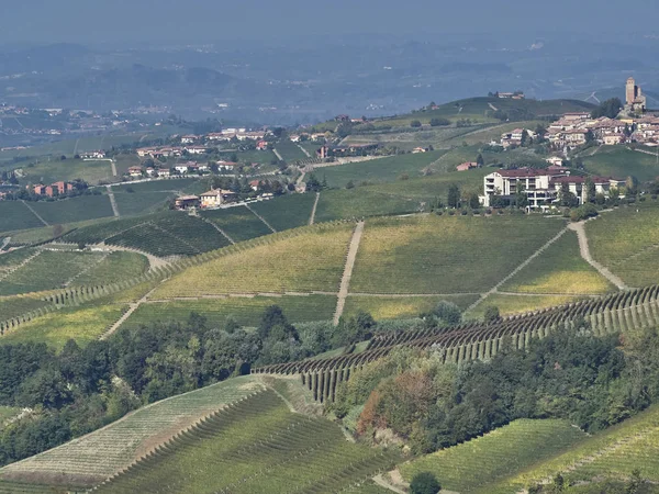 Veduta della campagna delle Langhe in Piemonte — Foto Stock