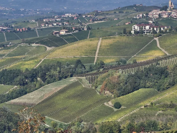 Vista de la campiña de Langhe en Piamonte — Foto de Stock
