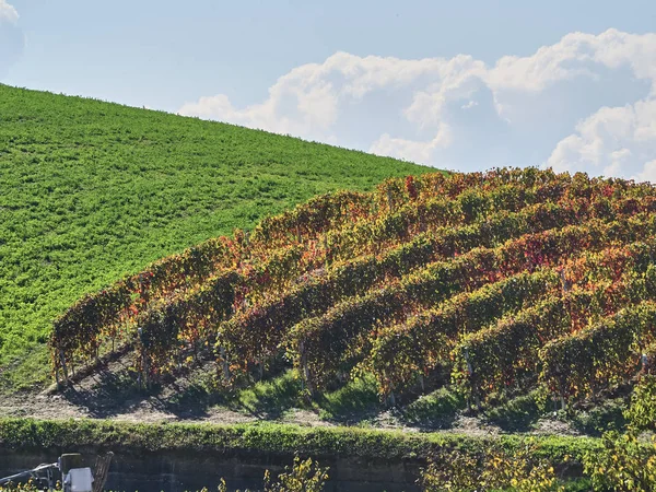 Blick auf die langhe Landschaft im Piemont — Stockfoto