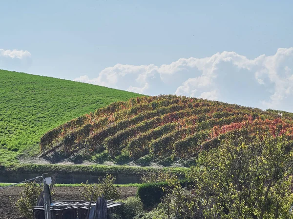 Veduta della campagna delle Langhe in Piemonte — Foto Stock