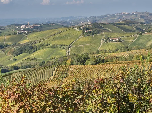 A Langhe vidék megtekintése Piemont-ban — Stock Fotó