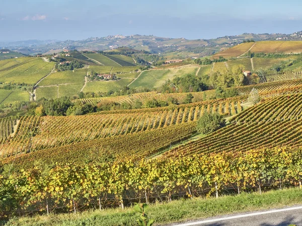 Veduta della campagna delle Langhe in Piemonte — Foto Stock