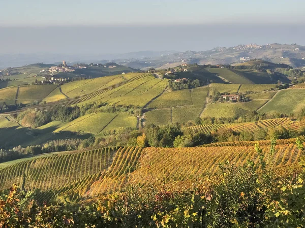 Vista do campo de Langhe no Piemonte — Fotografia de Stock