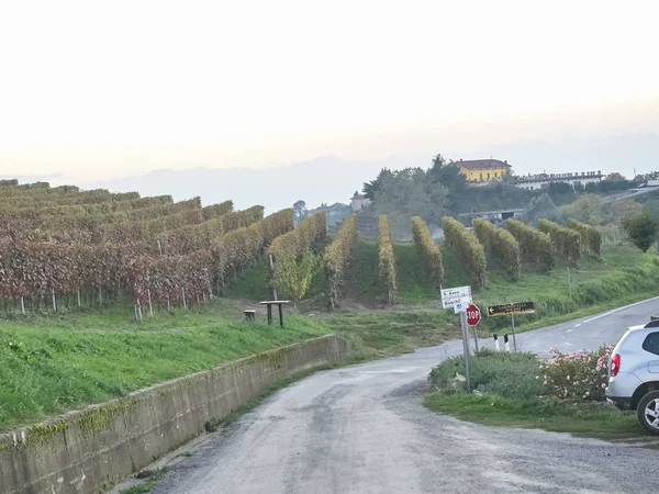 Veduta della campagna delle Langhe in Piemonte — Foto Stock