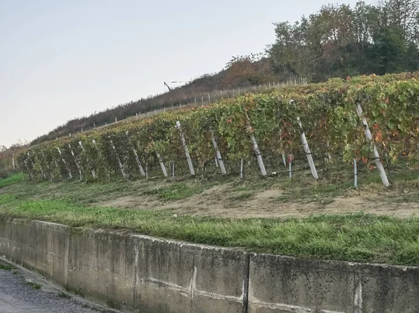 Utsikt över Langhe landsbygden i Piemonte — Stockfoto