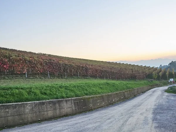 Blick auf die langhe Landschaft im Piemont — Stockfoto