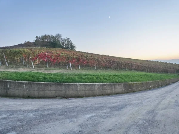 Blick auf die langhe Landschaft im Piemont — Stockfoto