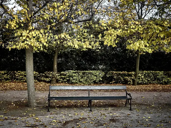 Scatto di una panchina al parco — Foto Stock
