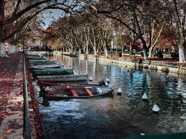 Gündüz kanalı ve tekneli sonbahar parkı manzarası