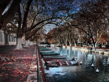 Gündüz kanalı ve tekneli sonbahar parkı manzarası