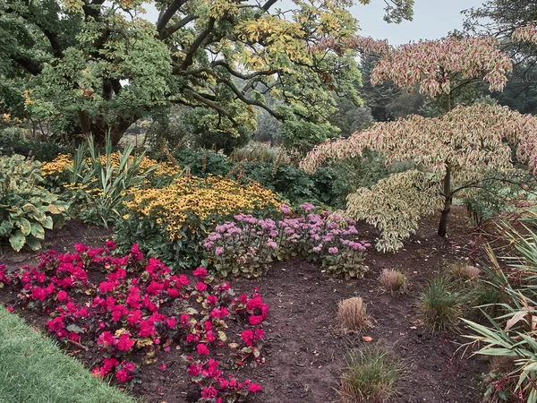 Cardiff'teki Roath Park'ın bir çiçeğinin görünümü
