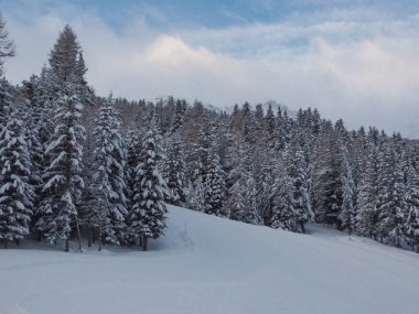 Santa Caterina Valfurva 'da kar dolu ağaçlar, Valtellina
