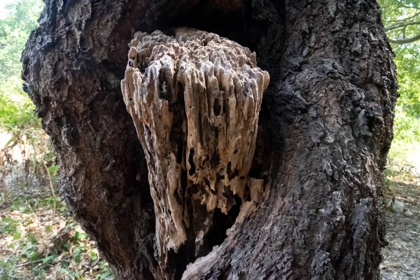 Tiro de Ispica e sua caverna — Fotografia de Stock