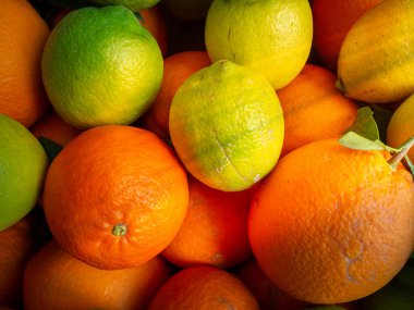 Portakallar, limonlar, limonlar ve mandalinalar.
