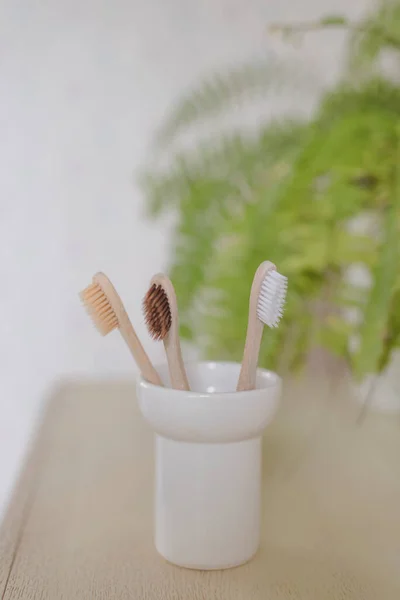 Cepillo Dientes Madera Baño — Foto de Stock