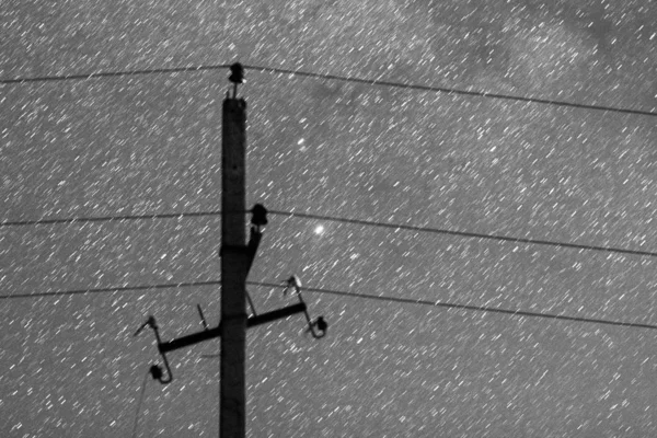 Cielo Estrellado Blanco Negro Línea Eléctrica — Foto de Stock