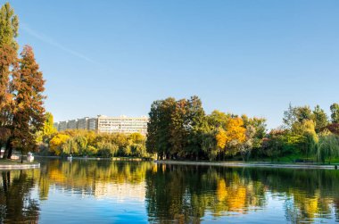 Güzel bir sonbahar akşamında, parkın ortasında güzel renkli ağaçlarla çevrili büyük bir göl manzarası..